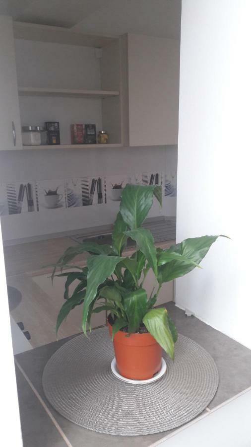 Melody Apartment Alba Iulia Eksteriør billede